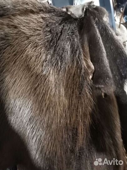 Выделка дикой пушнины