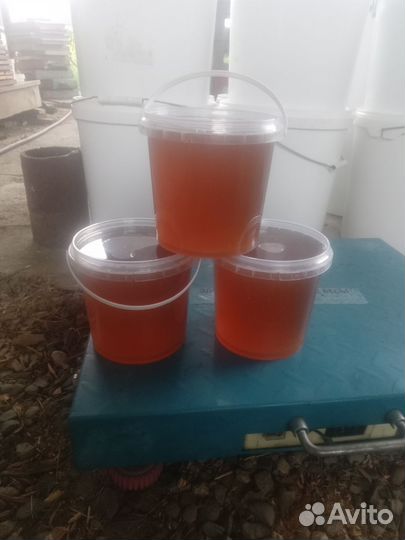 Майский мед 2024