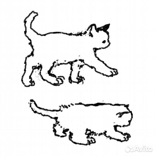 Модель на тату