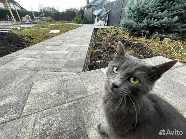 Брусчатка тротуарная плитка от завода