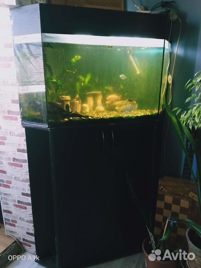 Аквариум угловой, 180 л