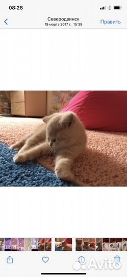 Ковёр Икеа 133*180 разные цвета