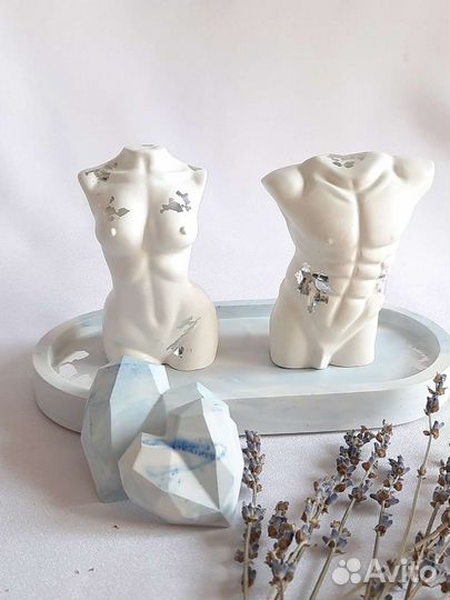 Торсы мужской, женский