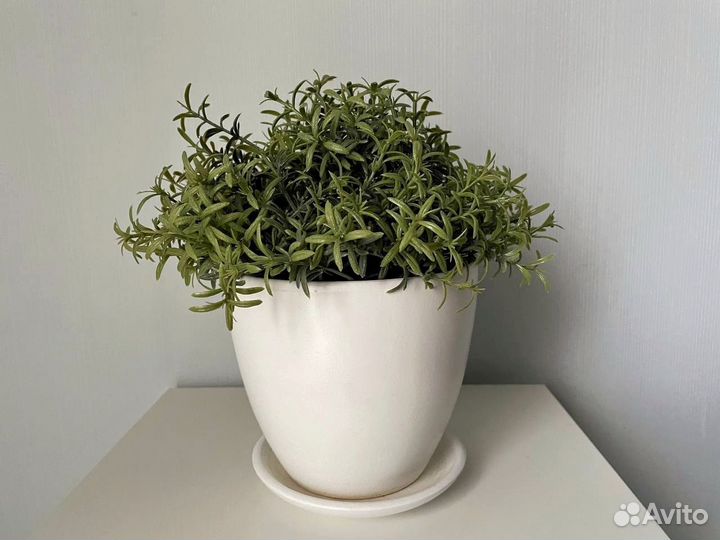 Два горшка керамических