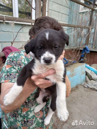 Милые мальчишки