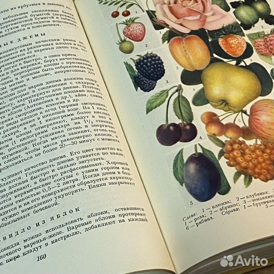 Домоводство. 1956