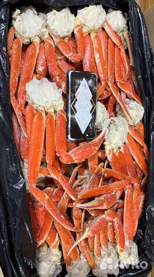 Открою магазин рыбы краба икры морепродукт