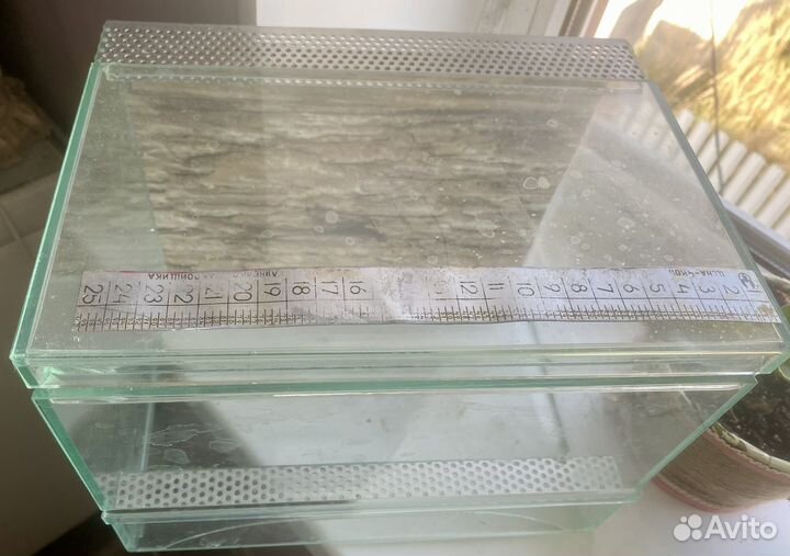 Террариум для эублефара