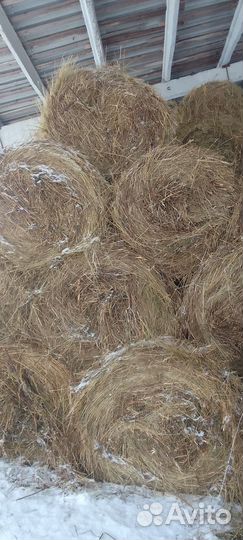 Сено для коров и коз 300 кг