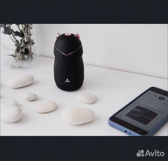 Колонка блютуз портативная Jungle BT