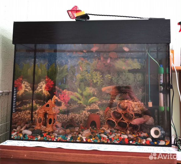 Аквариум 150 литров