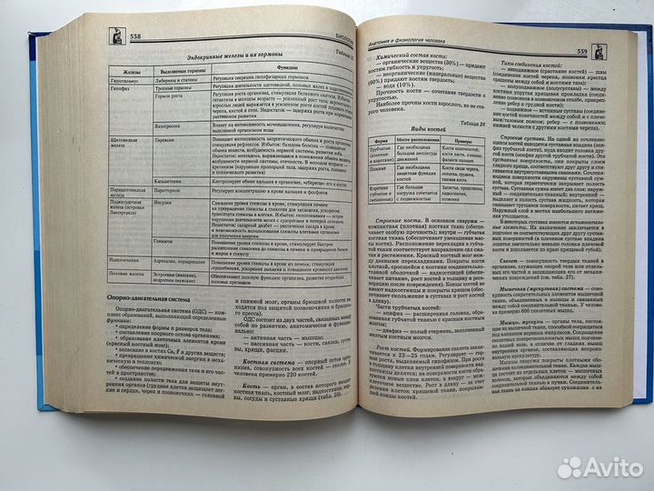 Справочник для школьников 5-11 классов