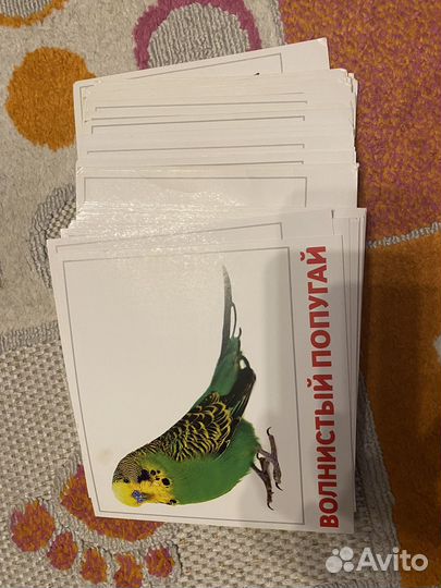 Развивающие карточки для детей