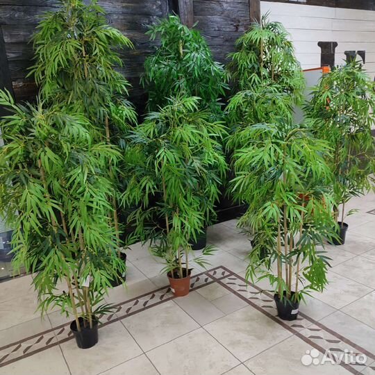 Бамбук искусственный натуральный стволе