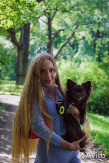 Домашняя передержка собак & кошек LUX + выгулы