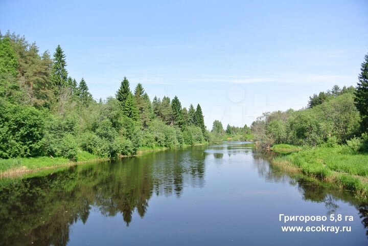 Участок 5,8 га (СНТ, ДНП)