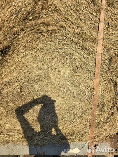 Сено. Доставка