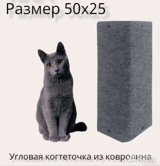 Когтеточка угловая