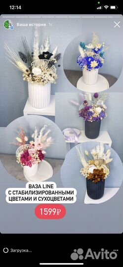 Стабилизированные цветы, мох, сухоцветы, гипс