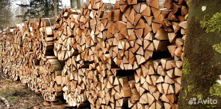 Каминные дрова