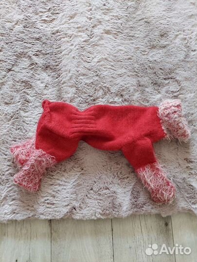 Одежда для собаки