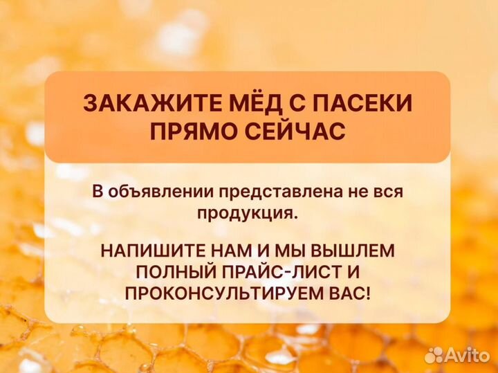 Мёд свежий 2023 опт