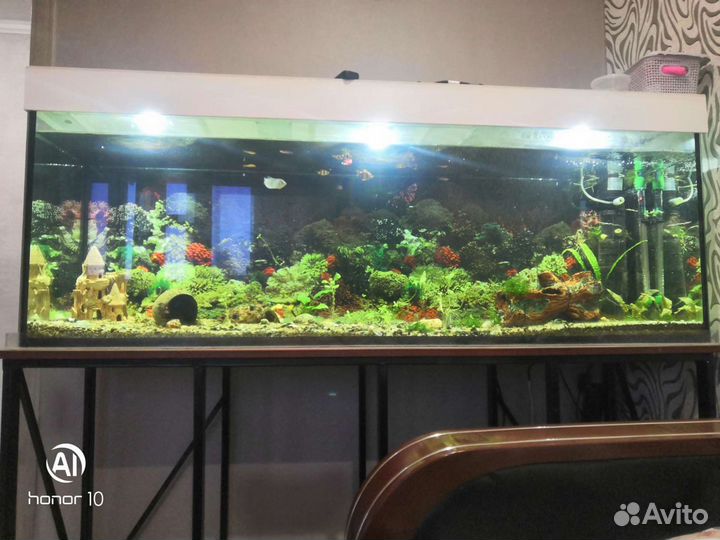Аквариум на 400 литров