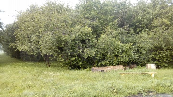 Дом 60 м² на участке 40 сот.