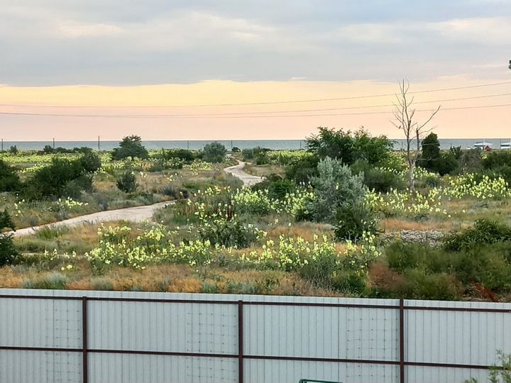 Коттедж 45 м² на участке 10 сот.