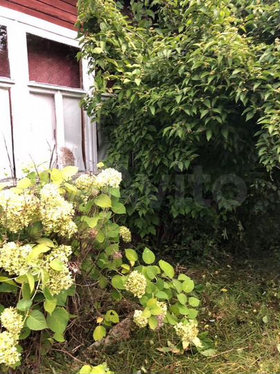 Дача 30 м² на участке 3,7 сот.