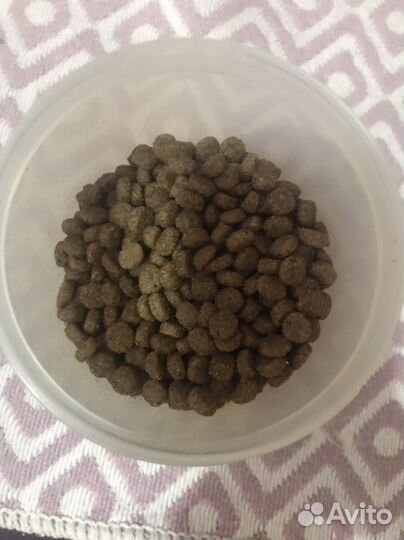 Сухой корм для кошек 1st choice. Открытый