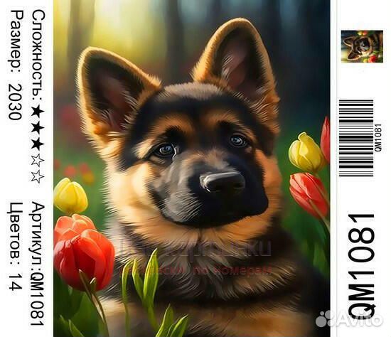 Картина по номерам 20x30