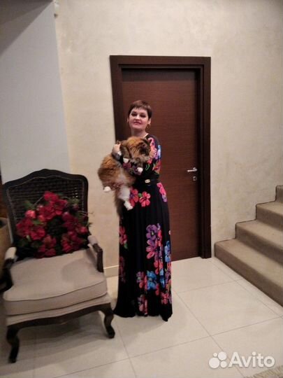 Добработница с проживанием