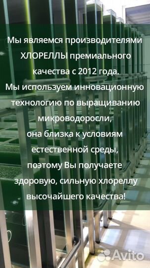 Хлорелла высокой плотности для водоемов и рыб