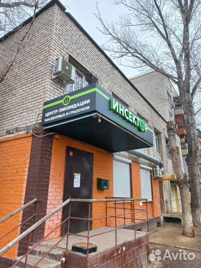 Вывески Астрахань