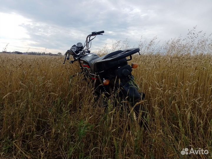 Orion Grifon 110cc
