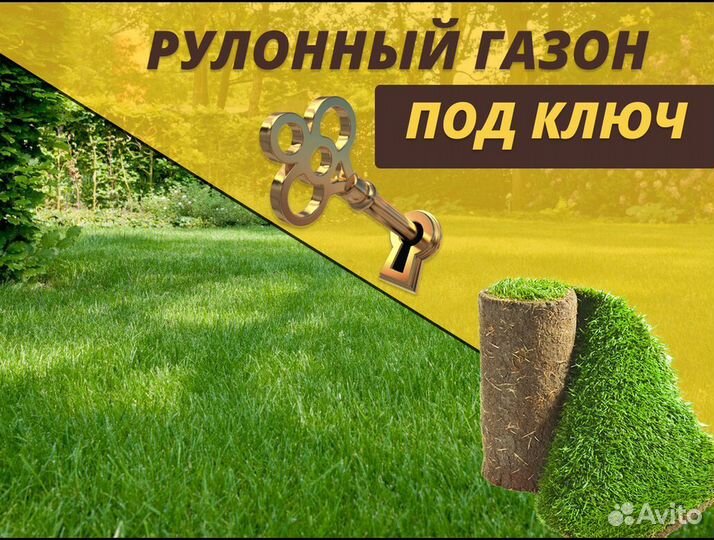 Рулонный газон под ключ Стандартный