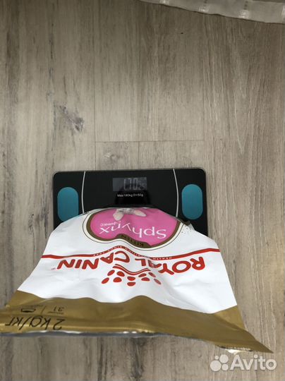 Корм для котят royal canin