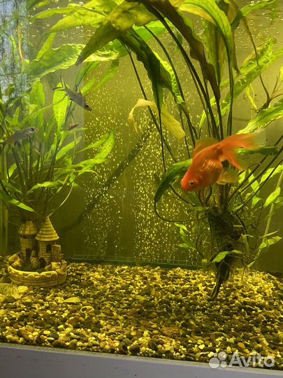 Аквариум с тумбой