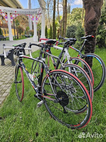 Прокат шоссейных велосипедов. Аренда велосипеда