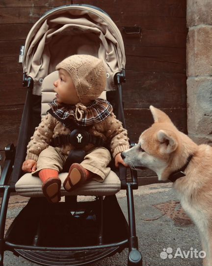 Прокат аренда Коляска прогулочная Yoyo2 бежевый