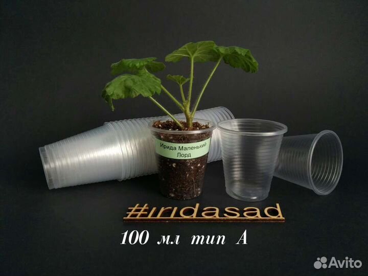 Стаканчики прозрачные 100мл для рассады