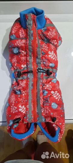 Одежда для средних собак