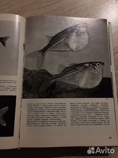 Иллюстрированная энциклопедия рыб