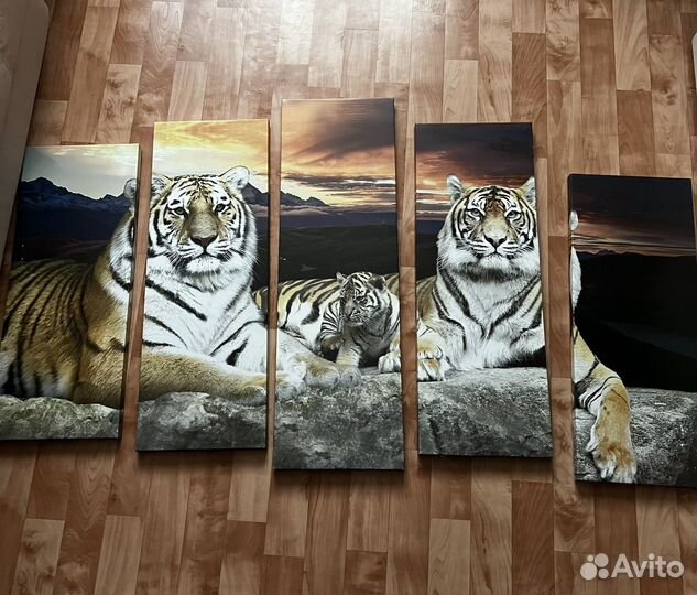 Картина тигр