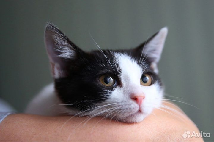 Малышка 2,5 месяца ищет, маму