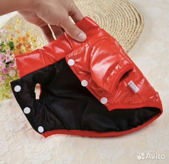 Одежда на маленькую собаку XS