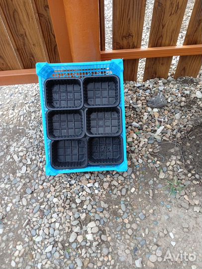 Лоток для рассады