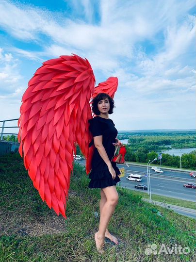 Крылья Ангела красные. Остатки реквизита