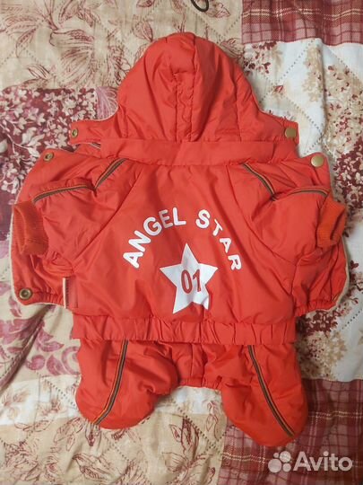 Вещи для собачки